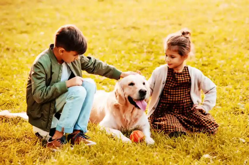 Petplan Insurance Review [2023]