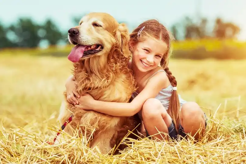 Petplan Sanctuary Insurance Review